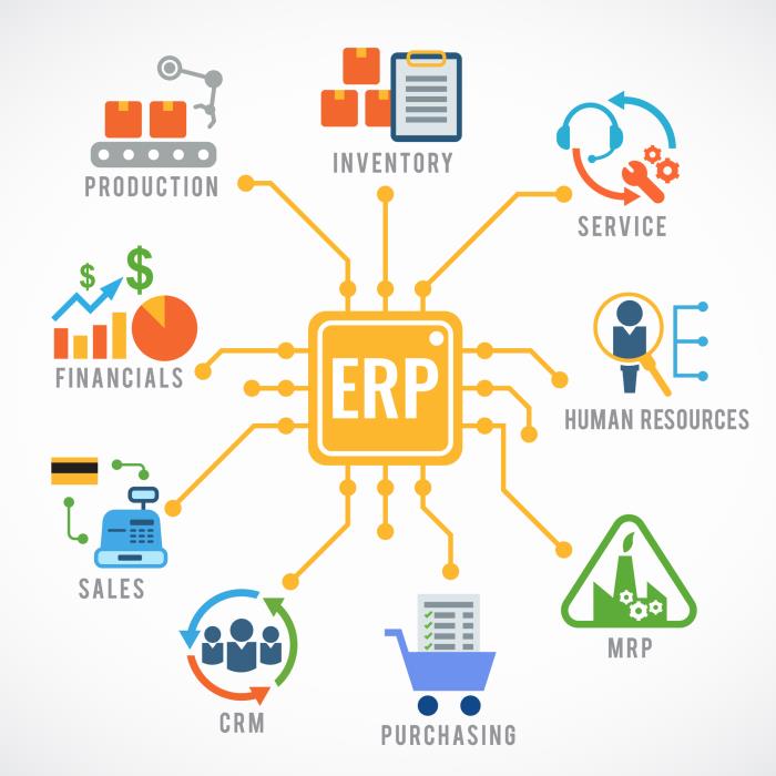 Enterprise Resource Planning Systems To Streamline Processes